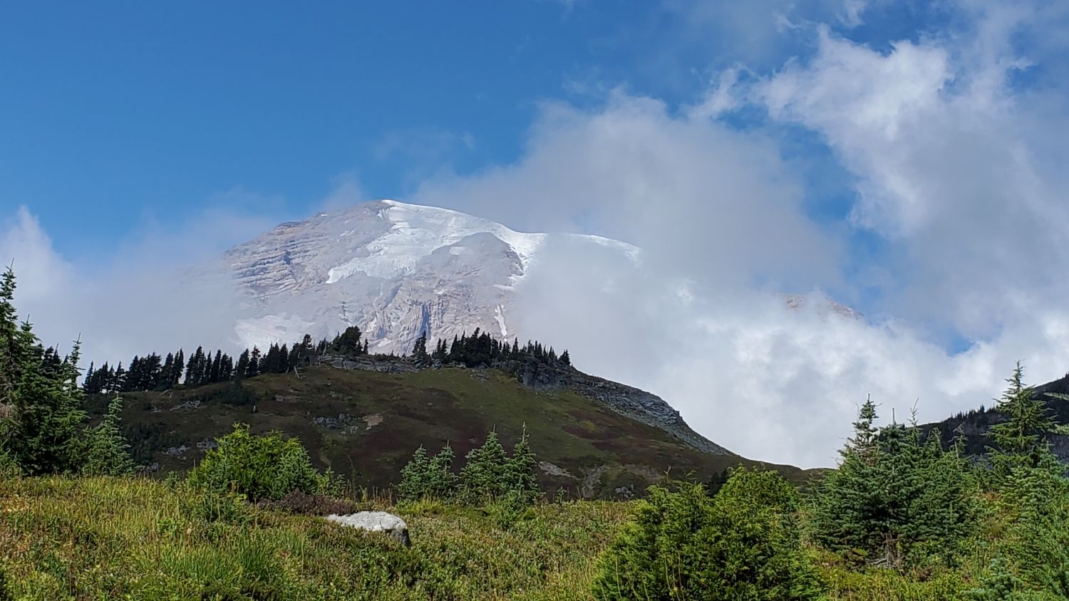 Mount Rainier NP 